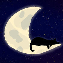 Cat and Moon